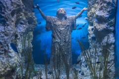 Malta-National-Aquarium-10