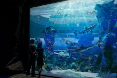 Malta-National-Aquarium-12