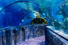 Malta-National-Aquarium-6