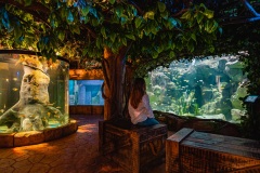 Malta-National-Aquarium-7