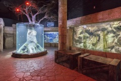 Malta-National-Aquarium-8