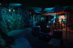 Tomb-Raider-Live-1