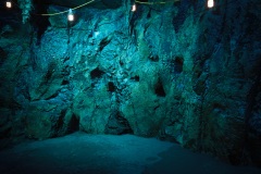 Tomb-Raider-Live-3
